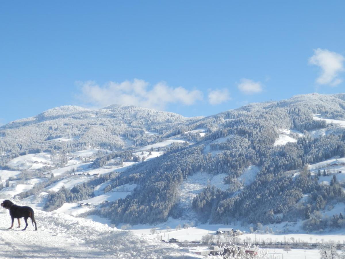 Appartement Gollehenhof à Sankt Johann im Pongau Extérieur photo